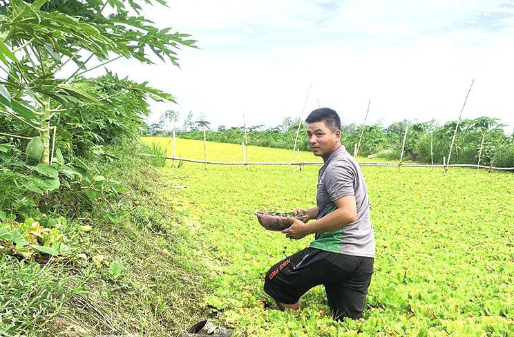 Description: https://baocantho.com.vn/image/fckeditor/upload/2023/20230615/images/6-1.jpg